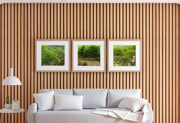 The advantages of WPC wallboard.